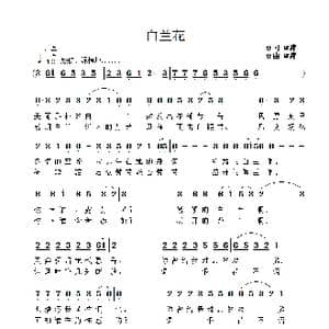 白兰花_歌曲简谱_词曲:雷渡 雷渡