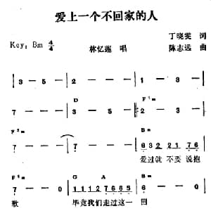 爱上一个不回家的人_通俗唱法乐谱_词曲:丁晓雯 陈志远