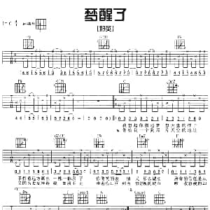 梦醒了 吉他谱 那英