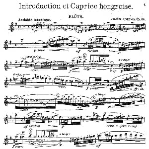 长笛曲谱 | Introduction et Caprice Op.58 丹麦 安德森