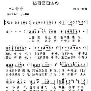 情哥哥回家乡_民歌简谱_词曲:颂今 颂今