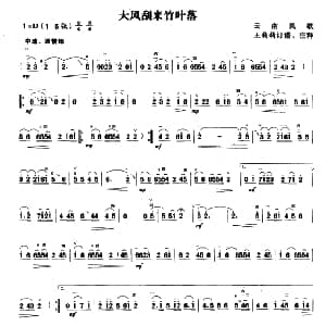 二胡谱 | 大风刮来竹叶落 云南民歌 王莉莉订谱