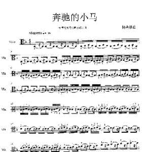 奔驰的小马_歌曲简谱_词曲:杨会林曲