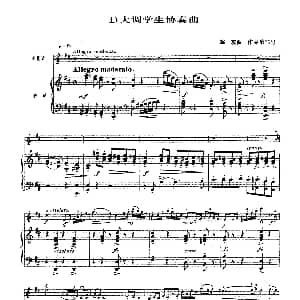 小提琴谱 | D大调学生协奏曲 塞茨作品第15号 塞茨