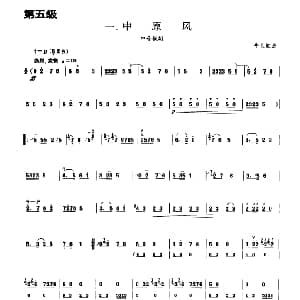 中原风 板胡曲集第五级