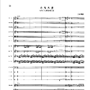 小鸟天堂 高胡与民族管弦乐队 卜灿荣