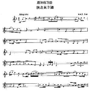 趣味练习曲 陕北黄羊调