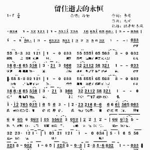 留住逝去的永恒_歌曲简谱_词曲:李萱 九雨