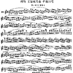长笛曲谱 | 柯勒长笛练习曲作品33号 第二册 12 埃内斯托 柯勒 ERNESTO KOEHLER