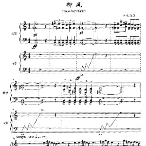 琵琶谱 | 柳风 琵琶 古筝 朱长磊