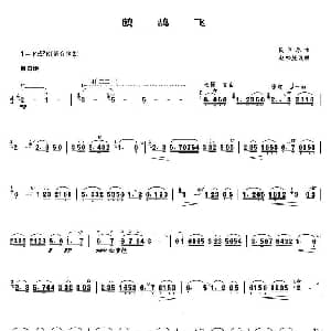 笛子谱 | 鹧鸪飞 赵松庭改编版