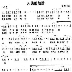 天使的翅膀_通俗唱法乐谱_词曲:徐海 徐海