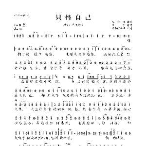 只怪自己_歌曲简谱_词曲:尤雅琪 冰武