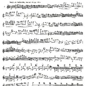 长笛曲谱 | 基于维尼亚夫斯基练习曲的10首长笛练习曲之7 Moyse 10 Studies After Wieniawski 莫伊斯Moyse