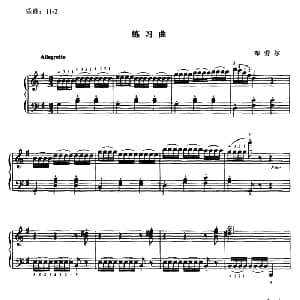 布劳尔练习曲 钢琴谱 布劳尔
