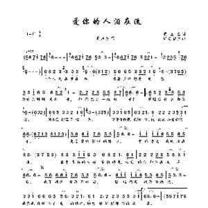 爱你的人泪在流_歌曲简谱_词曲:贾富营 轻云望月