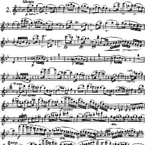 长笛曲谱 | 库劳长笛二重奏大练习曲Op.39 Flute 1 No.2 Kuhlau 库劳