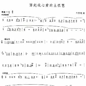 葫芦丝谱 | 弹起我心爱的土琵琶 吕其明