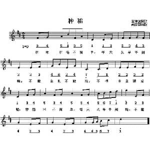 种稻 菲律宾 _外国歌谱