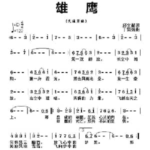雄鹰_通俗唱法乐谱_词曲:邱文献 丁留强