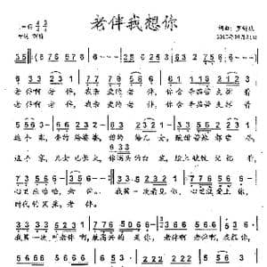 老伴我想你_歌曲简谱_词曲:罗新廉 罗新廉