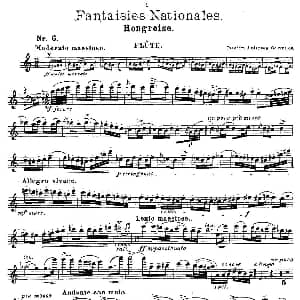 长笛曲谱 | Fantaisies nationales. Op. 59, 6. Andersen 安德森