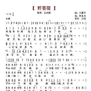 野蔷薇_歌曲简谱_词曲:向雪怀 陈永良