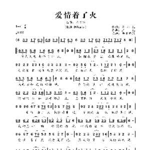 爱情着了火_歌曲简谱_词曲:齐眉儿 三儿