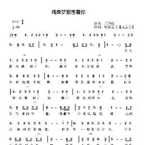 魂牵梦萦想着你_歌曲简谱_词曲:武春芳 天子俊