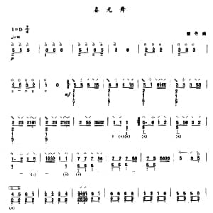 琵琶谱 | 春光舞 曾寻