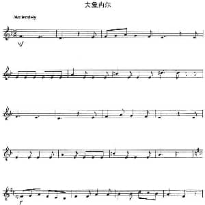 小提琴谱 | 大象内尔