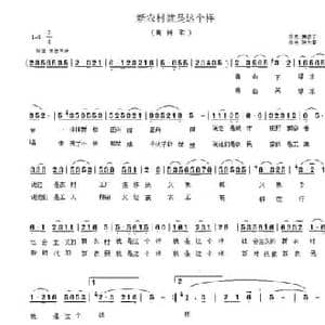 新农村就是这个样_民歌简谱_词曲:李如会 陈大春