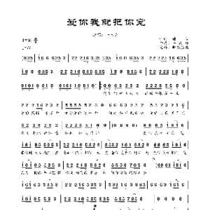 爱你我就把你宠_歌曲简谱_词曲:锁心 一只舟
