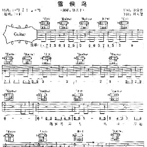 雪侯鸟 吉他谱 熊天平 许常德 刘天健