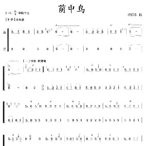 荫中鸟 笛 笙 刘管乐