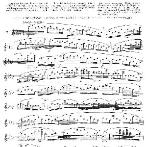长笛曲谱 | 12首大技巧练习曲之7 Moyse 莫伊斯