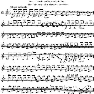小提琴谱 | 马扎斯小提琴练习曲 Op.36 第一册 特殊练习曲 12