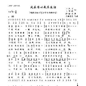 风在伤心我在流泪_歌曲简谱_词曲:于跃好 王梦秋 王梦秋