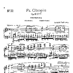 53首以肖邦练习曲为素材而作的练习曲 钢琴谱 里奥鲍尔德 戈多夫斯基