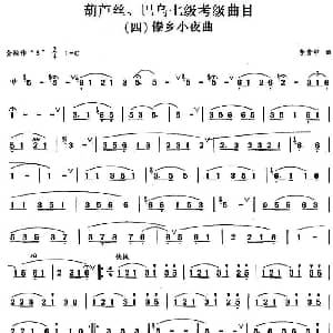 巴乌七级考级曲目 傣乡小夜曲 李贵中