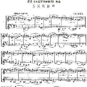 小提琴谱 | 霍曼 小提琴基础教程 选曲 真实的故事 二重奏 美 斯塔尔