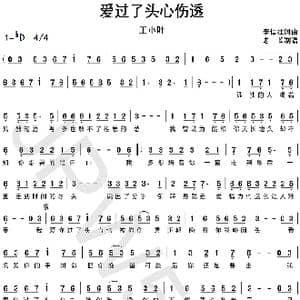爱过了头心伤透_歌曲简谱_词曲:李信壮 李信壮