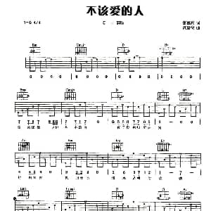 不该爱的人 吉他谱 张嘉兴 武嘉悦
