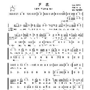 芦花_歌谱投稿_词曲:贺东久 印青