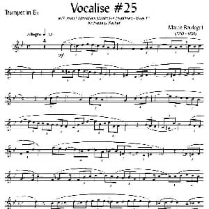 Bordogni Vocalise #25 小号 Marco Bordogni