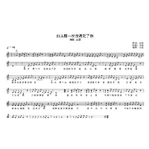 自从那一次我遇见了你_通俗唱法乐谱_词曲:治洪 治洪