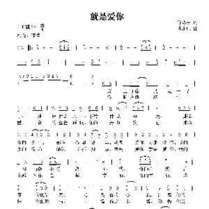 就是爱你_歌曲简谱_词曲:许冬子 谭永红