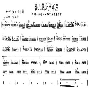 二胡谱 | 喜儿藏身芦苇丛 舞剧 白毛女 第三场音乐片断