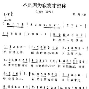 不是因为寂寞才想你_通俗唱法乐谱_词曲:张超 张超