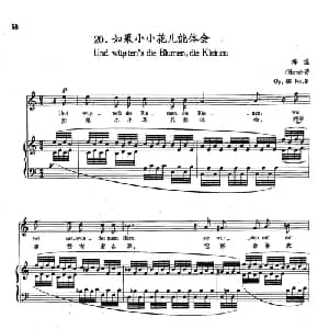 20如果小小花儿能体会 德国 _外国歌谱_词曲:海涅 舒曼